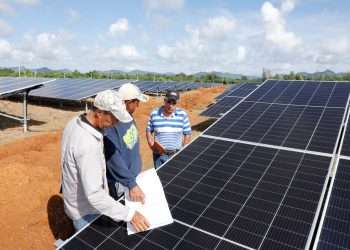 ¿Qué tiene dentro un Parque Fotovoltaico?