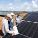 ¿Qué tiene dentro un Parque Fotovoltaico?