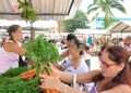 Todos los actores a reforzar ofertas agropecuarias