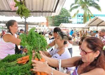 Todos los actores a reforzar ofertas agropecuarias