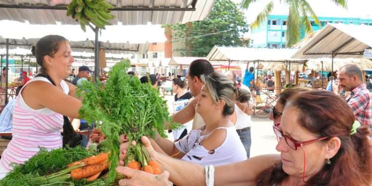 Todos los actores a reforzar ofertas agropecuarias