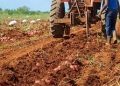 agricultura-preparacion-tierra