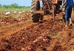 agricultura-preparacion-tierra
