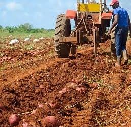agricultura-preparacion-tierra