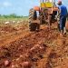 agricultura-preparacion-tierra