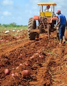agricultura-preparacion-tierra