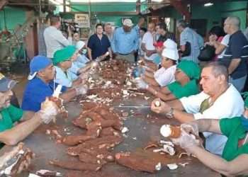 Güira marcha en la avanzada