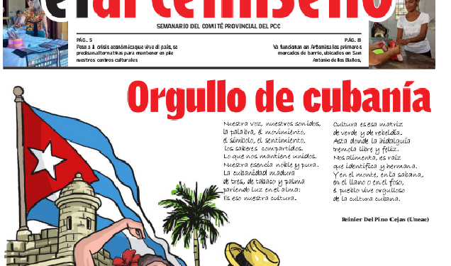 Edición 41 de el artemiseño