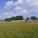 copa-beisbol