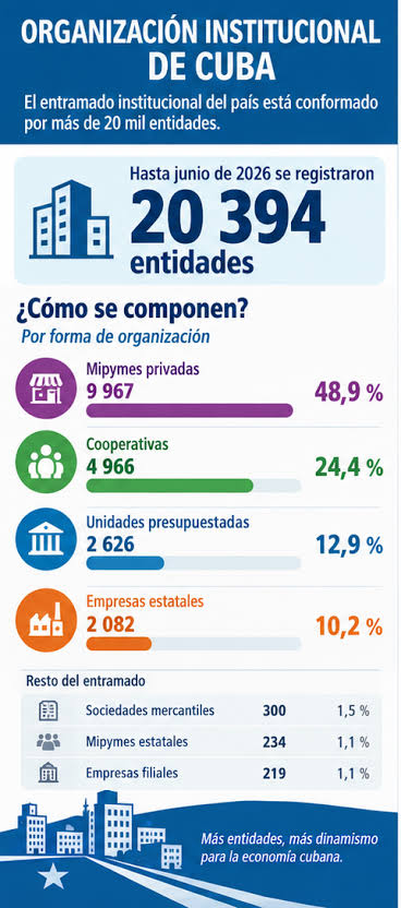 Mipymes privadas son mayoría de instituciones